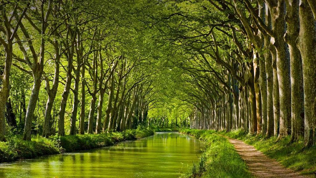 Gite La Chartreuse Du Canal Du Midi トゥールーズ エクステリア 写真
